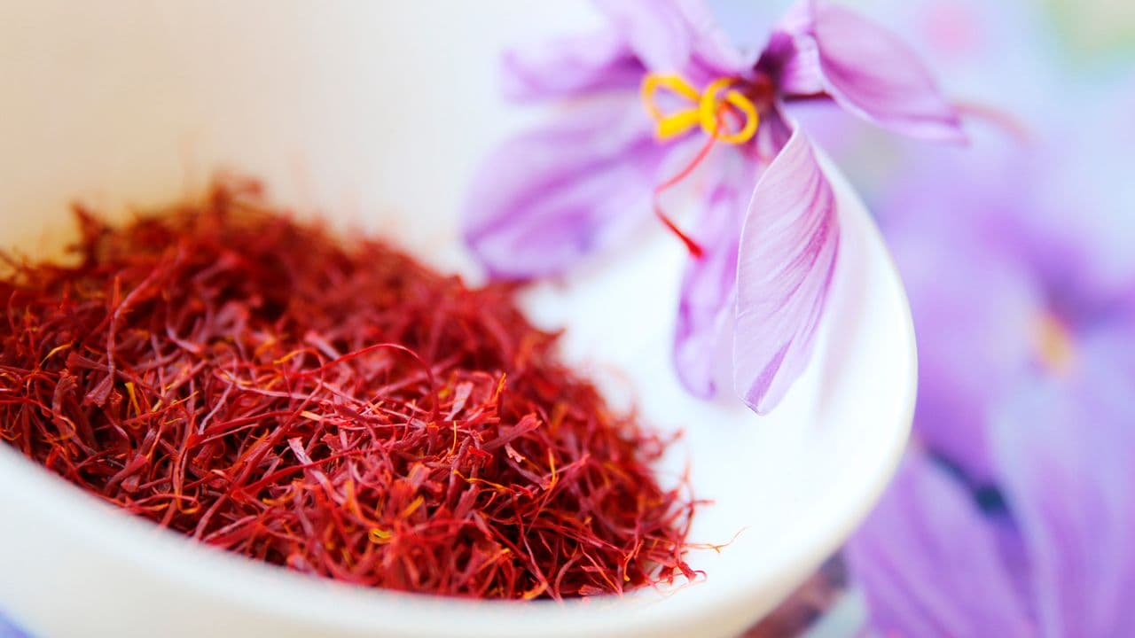 Saffron flowers from Herat